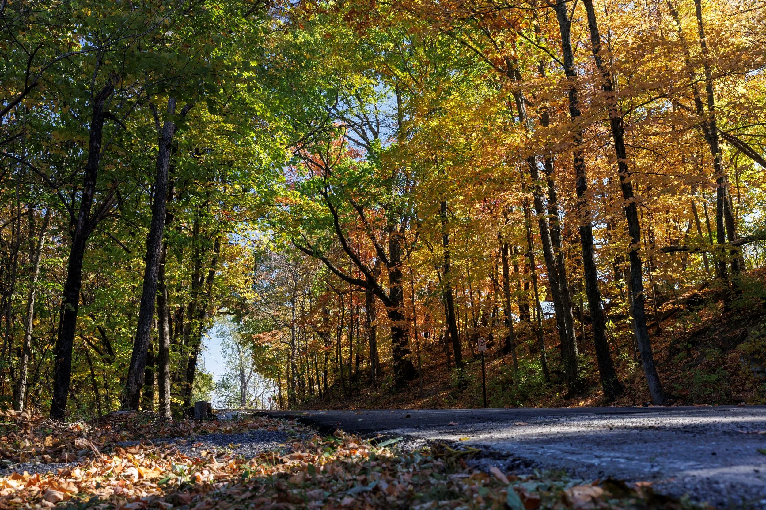 Autumns Adventure Await in Callaway County